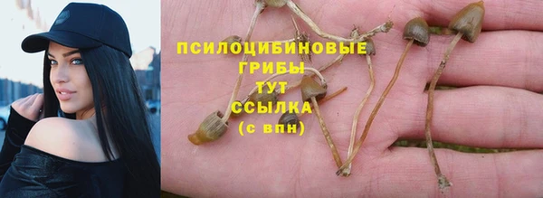 jwh Протвино