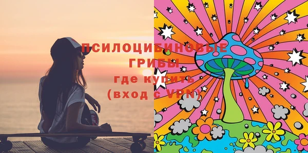 ПСИЛОЦИБИНОВЫЕ ГРИБЫ Приозерск