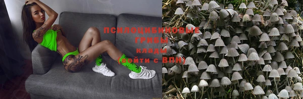 ПСИЛОЦИБИНОВЫЕ ГРИБЫ Приозерск