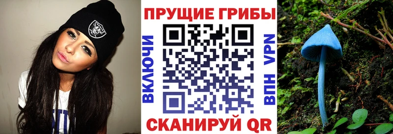 Псилоцибиновые грибы Magic Shrooms  Купить где  Сысерть 