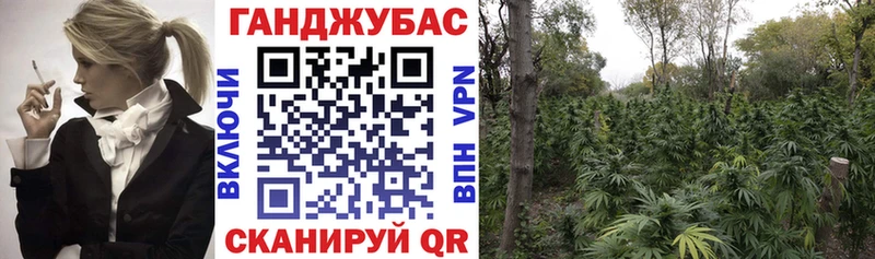 Купить закладки  Сысерть  Каннабис ГИДРОПОН 